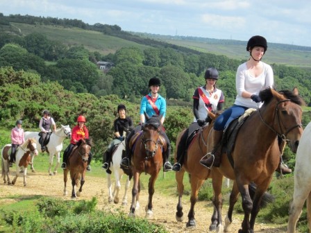 Riding in the New Forest 